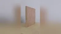Plywood for Container Floor with Good Price