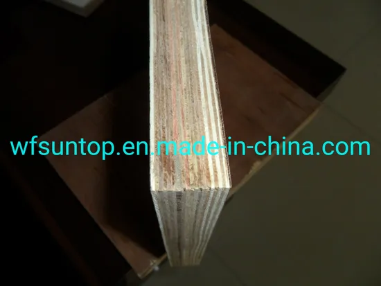 1220X2440X28mm Container Flooring Plywood 