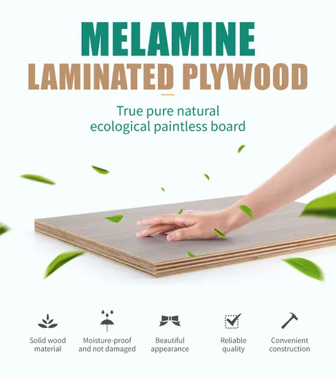 Melamine Waterproof Plywood 1220*2440* 12mm 18mm Melamine Coated Plywood Made in China 