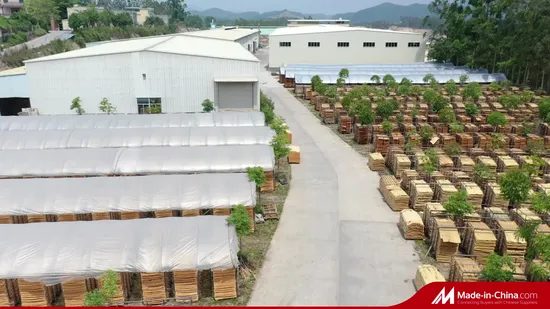 Shuttering/Marine Plywood/Construction Waterproof Film Faced Plywood for Building 